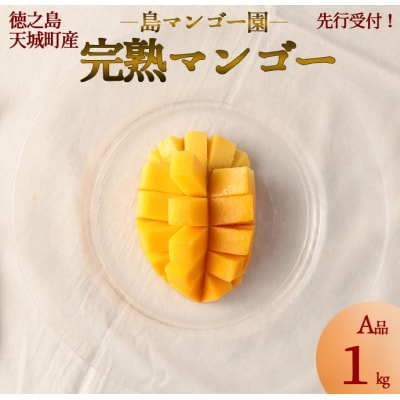 徳之島 天城町産 島マンゴー園 完熟マンゴー A品 1kg