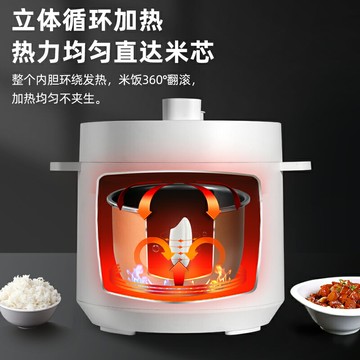 正品出口110V伏電高壓力鍋3L升美國加拿大日本出國小家電