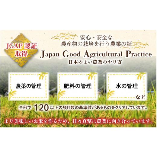 ふるさと納税 福井県 大野市 福井県大野市産 JGAP認証 コシヒカリ「あかね」5kg（2.5kg×2）小分け