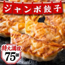 ジャンボ生餃子75個 冷凍餃子 中華 惣菜