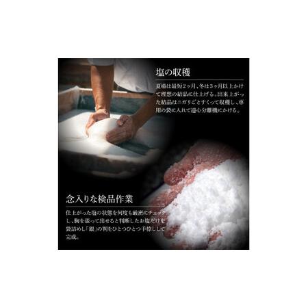 ふるさと納税 銀象ソルト Ginzo-Salt 星屑ソルト 100g 塩 しお 調味料 天日塩 完全天日塩 国産 高知県産 ソルト ミネラル 健康 料理 調理 お塩 .. 高知県土佐市