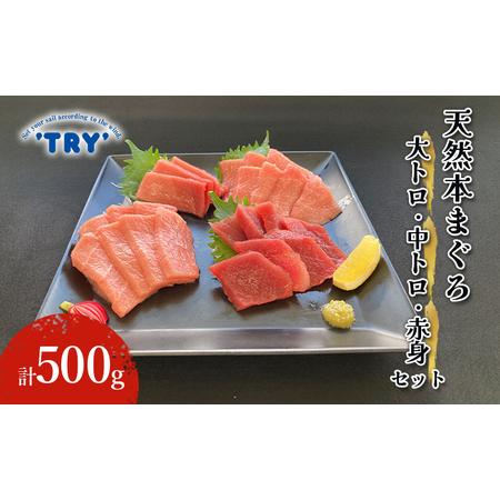 ふるさと納税 本まぐろ　大トロ・中トロ・赤身セット 500g 鮪 本鮪 本マグロ マグロ 刺身 刺し身 海鮮 サク  静岡県静岡市