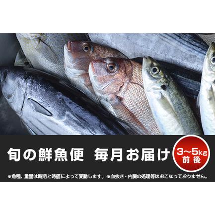 ふるさと納税 山田さんちの「旬の鮮魚便」 計12回 高知県大月町