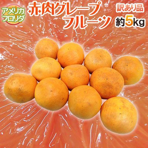 フロリダ産 ”グレープフルーツ ルビー” 訳あり 約5kg 大きさおまかせ 送料無料