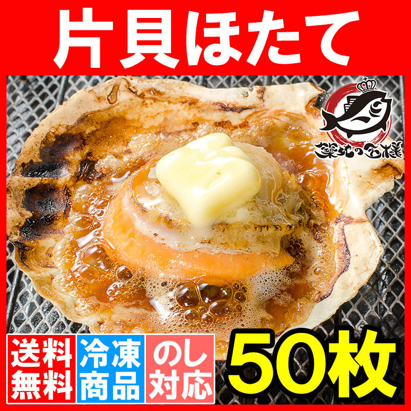 送料無料 ホタテ ほたて 特大 片貝ほたて 50枚 10枚×5袋 （殻付きほたて 帆立 貝 バター焼き 浜焼き バーベキュー BBQ 業務用 ギフト）