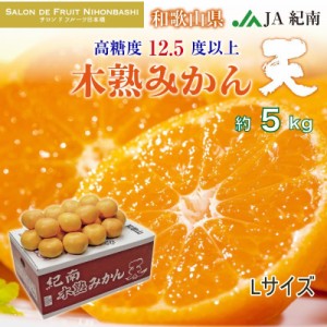 [予約 2023年 12月5日頃から発送] 木熟みかん 天 紀南木熟みかん 糖度12.5度 5kg L てん 高糖度 和歌山県産 JA紀南 産地箱 冬ギフト お歳