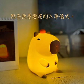 🔜 快速出貨【蝦米良品】超夯水豚卡皮巴拉夜燈 水瓶座/射手座 禮物 小台燈 拍拍燈 生日禮物 聖誕節交換禮物首選  療癒小物  畢業季禮物