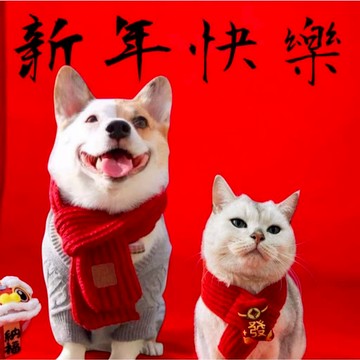 【現貨✔️】寵物賀年圍巾 紅色圍巾 🧧買就送紅包袋 / 狗狗圍巾 貓咪圍巾 項圈裝飾 寵物保暖圍巾