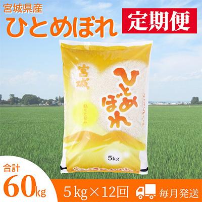 ふるさと納税 登米市 2024年1月発送開始『定期便』宮城県登米市産ひとめぼれ精米5kg全12回