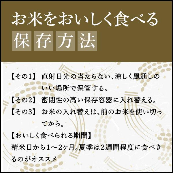 新米 令和５年産 お米 10kg 送料無料 コシヒカリ 白米 5kg×2袋 茨城県 産直 五ツ星お米マイスター厳選米