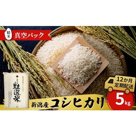 ふるさと納税 新潟産コシヒカリ精米5kg真空パック（12か月定期配送） 米 定期便 12ヶ月 コシヒカリ 精米 白米 コメ こめ お米 おこめ 5kg こしひ.. 新潟県新潟市