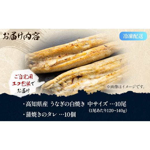 ふるさと納税 高知県 香南市 吉川水産 高知県産うなぎの白焼 中サイズ(120〜140g)×10尾 タレ付き 自宅用エコ包装 yw-0048