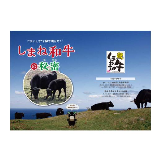 ふるさと納税 島根県 浜田市 1304.神話の国島根が誇る逸品　しまね和牛　ローススライス