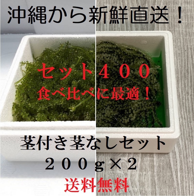 茎付き200gと茎なし200g　生！海ぶどう400gセット（タレ付き）たっぷり食べ比べできます！