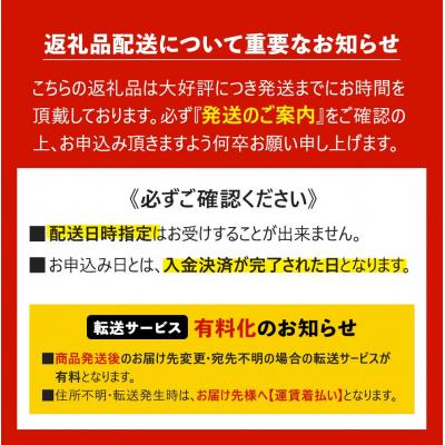 ふるさと納税 大崎町 鹿児島県産うなぎ長蒲焼4尾