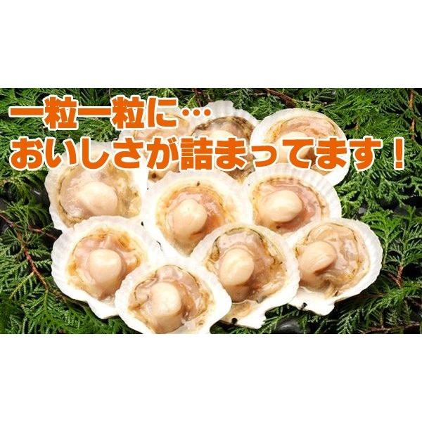 冷凍食品 お弁当 食品 食材 おかず 惣菜 簡単 業務用 家庭用 ホタテ 北海道産片貝ホタテ(ほたて)10枚 (バーベキュー)