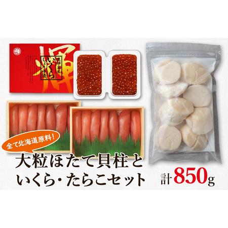 ふるさと納税 大粒ほたて貝柱250g×1 いくらしょうゆ漬け100g×2 噴火湾産たらこ200g×2 北海道 丸鮮道場水産 詰め合わせ 小分け 北海道鹿部町