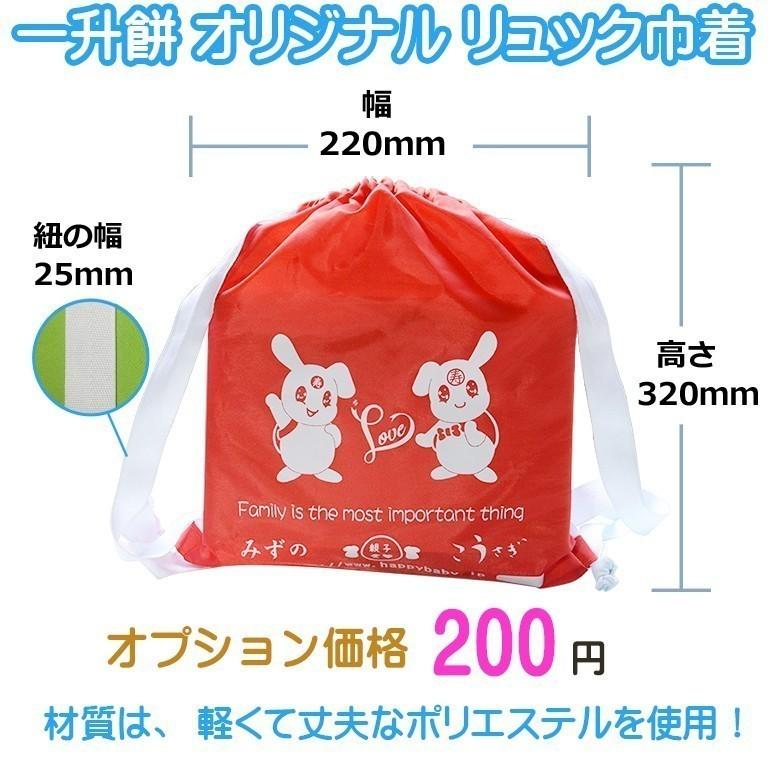 一升餅 ご家族で書 名入れシール付き 誕生餅 一生餅 祝い 風呂敷付きセット いっしょう もち かわいい 思い出に