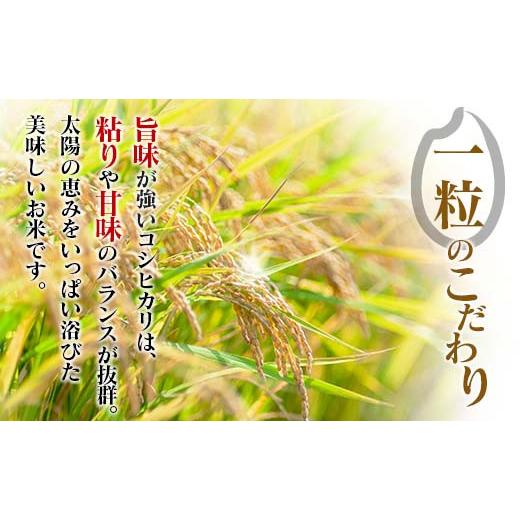 ふるさと納税 宮崎県 日南市 ≪無洗米≫新米コシヒカリ計60kg　米　お米　ご飯　国産 L7-22