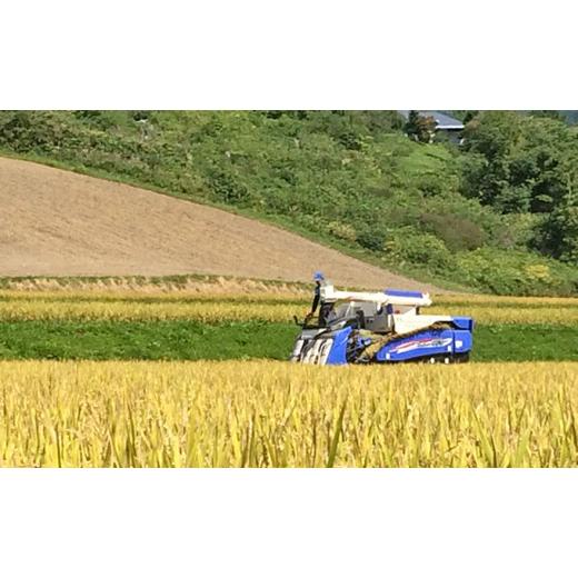 ふるさと納税 北海道 洞爺湖町 北海道産 ゆめぴりか 5kg  2袋 計10kg 財田米 たからだ米 お米 米 コメ 精米 北海道米 ご飯 ごはん 甘み 粘り ライス ブランド…