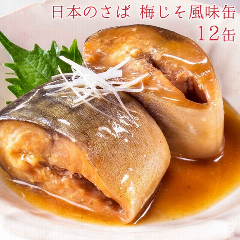 海外輸入】 宝幸 レトルトさば梅じそ風味 80g×3個 discoversvg.com