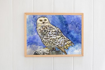 原創繪畫貓頭鷹藝術水彩鳥藝術手繪動物牆裝飾