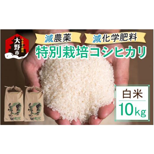 ふるさと納税 福井県 大野市 減農薬・減化学肥料の特別栽培コシヒカリ