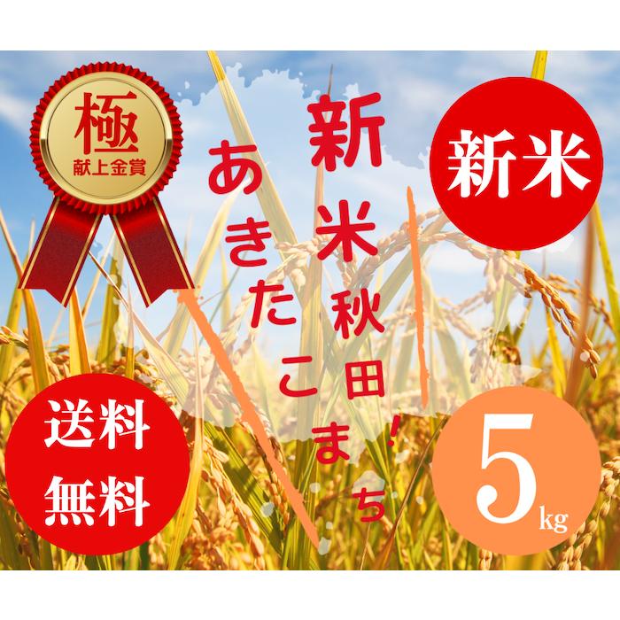 送料無料 令和５年度米 渡部浩見 極献上 金賞受賞米 あきたこまち ５kg