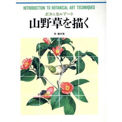 ボタニカルアート　山野草を描く カルチャーシリーズ／赤勘兵衛(著者)