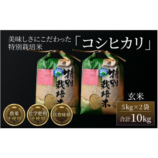 ふるさと納税 福井県 あわら市 コシヒカリ 玄米 5kg×2袋（計10kg） 特別栽培米 農薬不使用 化学肥料不使用 ／ 高品質 鮮度抜群 福井県産 ブ…