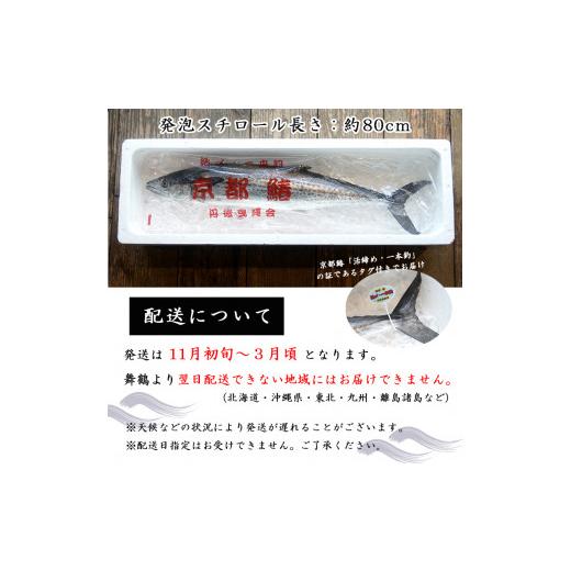 ふるさと納税 京都府 舞鶴市  漁師直送！！ 一本釣り 京都鰆 2.8kg 鮮魚 1尾 天然 新鮮 鮮度抜群 冷蔵 ナマモノ 寒さわら 活締め