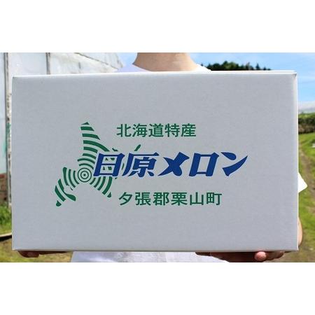 ふるさと納税 極上の一品「日原メロン（キング種）」（1.6kg相当×6玉） 北海道栗山町