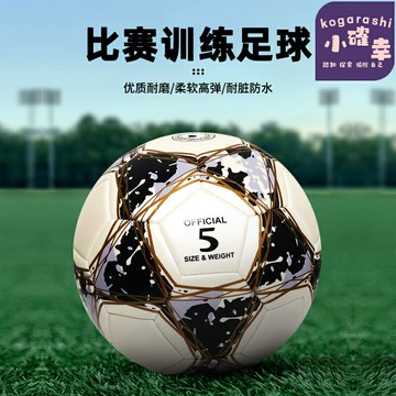 【珠光磨砂】PVC足球 4號5號足球 兒童足球 訓練足球 比賽足球 機縫足球 學生體育課 耐磨防水 室內外通用