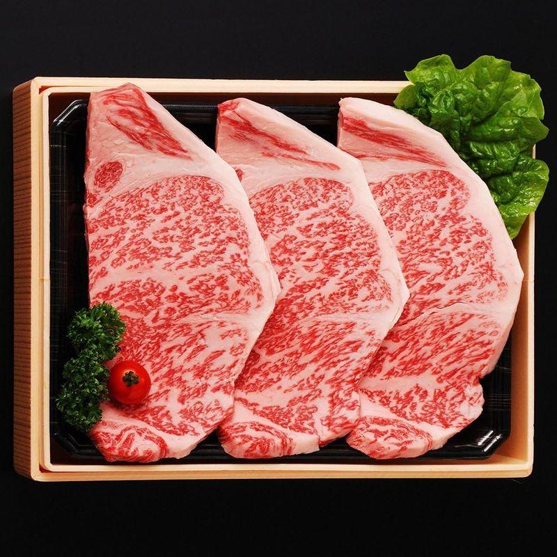 冷凍配送 牛肉 九州産 最高級 黒毛和牛 「 藤彩牛 」 霜降り サーロイン ステーキ （ A4 A5 ） (200ｇ×3枚)