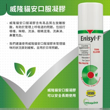 Vetoquinol 威隆 貓安口服凝膠 離胺酸 左旋離胺酸 呼吸道 免疫系統 眼睛 打噴嚏