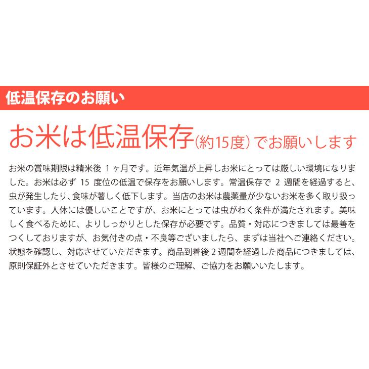 米 25kg お米（5kg×5袋）にじのきらめき 新米 令和5年 栃木県産