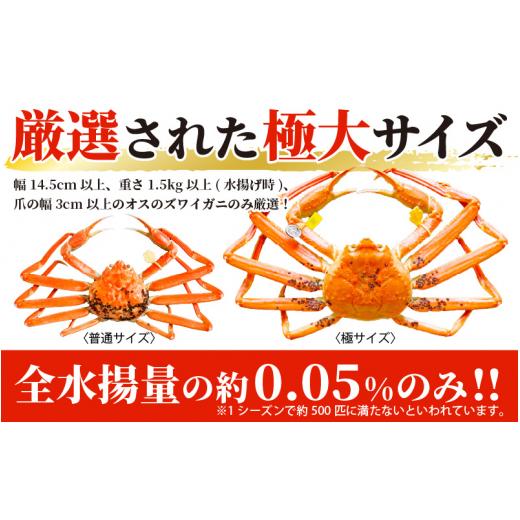 ふるさと納税 福井県 越前町 越前がに本場の越前町からお届け！ 越前がに極 浜茹で × 1杯（生で1.5kg以上） かにの食べ方しおり付き【福井県…