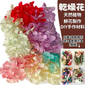 【A-ONE】安娜繡球花 乾燥花 永生花 索拉花 DIY手作 花材盒 拍攝道具 佈置 送禮裝飾 居家裝飾 A17