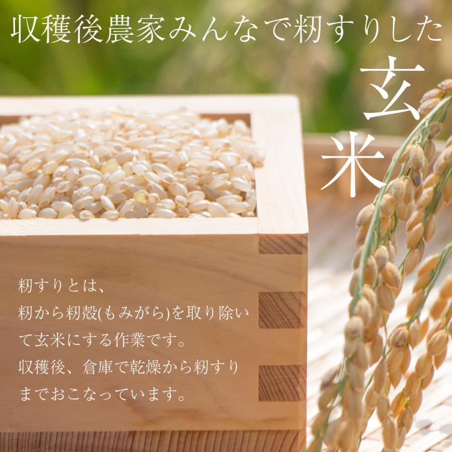 新米 みずかがみ 10kg 令和5年 送料無料 お米 白米 玄米 1等級米 10キロ 米 近江米 米10kg 農家直送 滋賀県 産地直送 即日発送