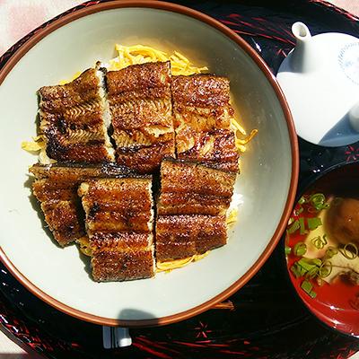 ふるさと納税 嬉野市 手焼き炭火焼きうなぎ蒲焼 (2尾・タレ付き)