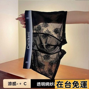 🔥台灣發出🔥 防曬透氣 吸濕 冰絲 超薄夏季男士內褲 速乾透氣網紗平角褲 透明性感舒適四角短褲頭