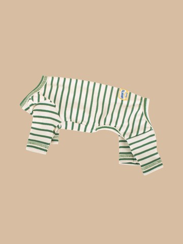 Daily Stripe All-in-One Apparel [Green]