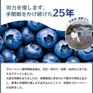 ふるさと納税 冷凍こだわりブルーベリー　500g×2 千葉県千葉市