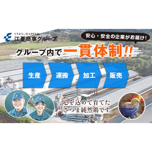 ふるさと納税 宮崎県 新富町 国産若鶏もも肉＆もも炭火焼 合計2.6kg 鶏肉 九州産