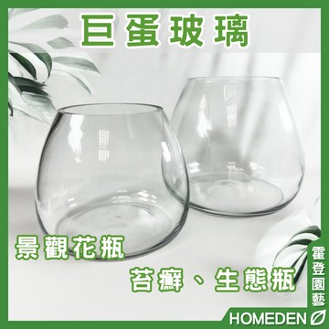 【隔日到貨】巨蛋玻璃 玻璃缸 玻璃花器 花瓶 透明花器 生態缸 苔蘚缸 多肉花器 永生花 魚缸【HOMEDEN霍登園藝】