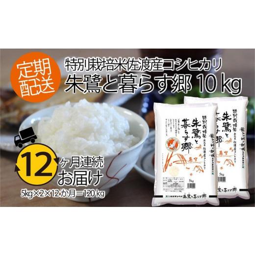 ふるさと納税 新潟県 佐渡市 佐渡産コシヒカリ・朱鷺と暮らす郷10kg（5kg×2）