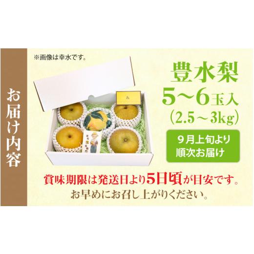 ふるさと納税 福井県 あわら市 しづちゃんが作る豊水梨 5〜6玉入（2.5〜3kg）農業歴70年以上！ ※2024年9月上旬より順次お届け