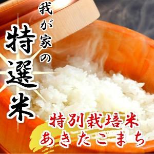 新米　令和５年産　米 20kg 送料無料　秋田県産 減農薬 特別栽培米 あきたこまち 玄米（10kg×2袋） 一等米　お米　白米 18kg