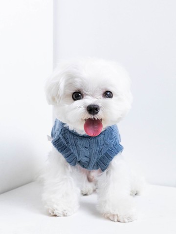 Button-up Knit Cardigan Apparel [Blue Bottle]