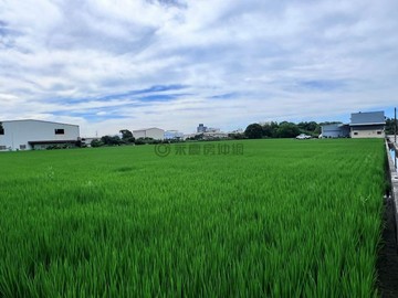 神岡區近潭雅神綠園道旁小坪數增值農地｜台中市神岡區社南段